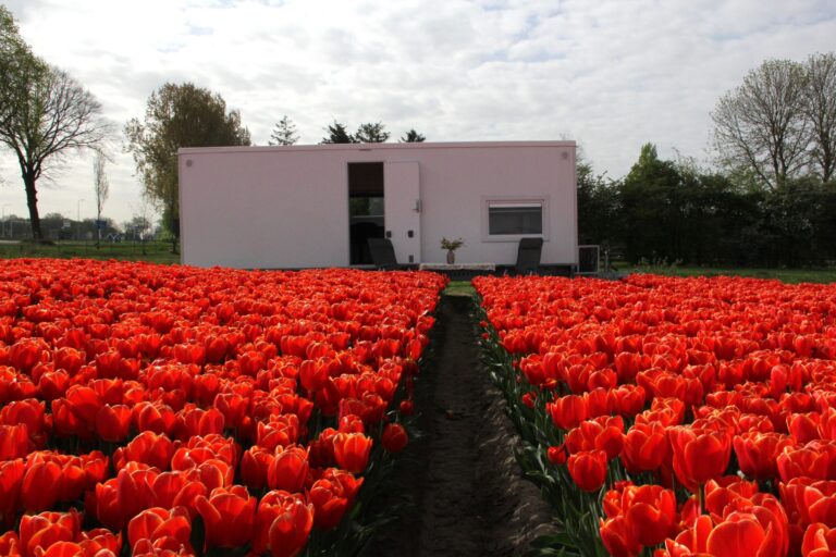 Exterieur van een SwiftHomes woonunit